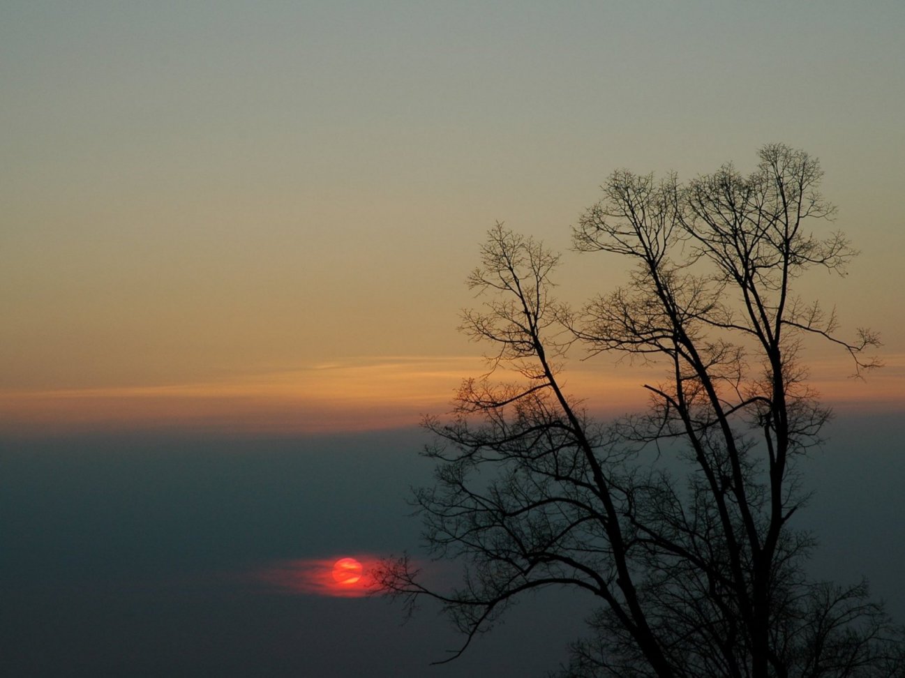 Luce divina?